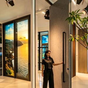 Pivot Door - B078